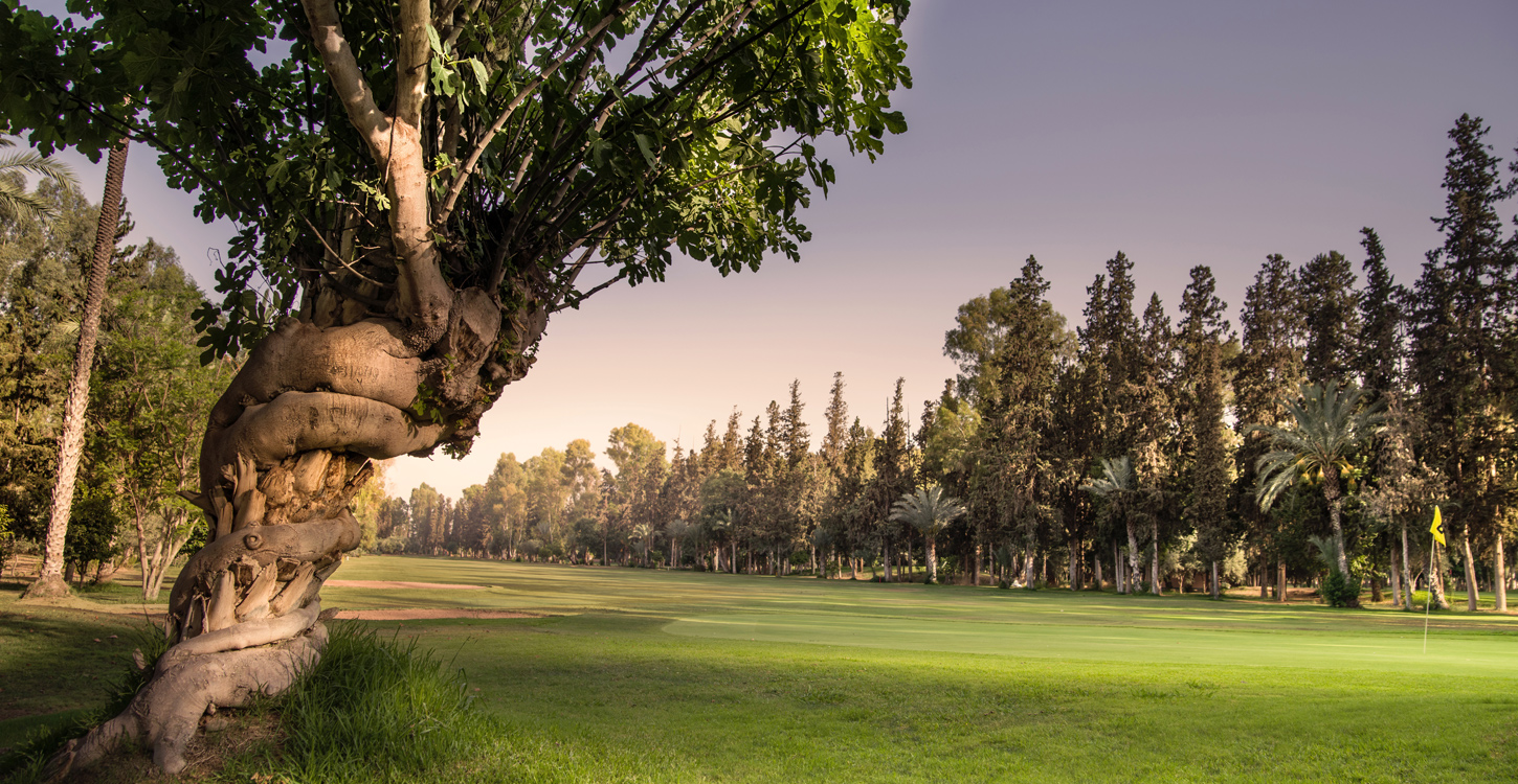 Royal Golf Marrakech - Le Seul Golf Oasis De Marrakech